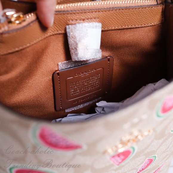 NWT Coach Small Town Bucket in Signature Canvas - Picture 10 of 10